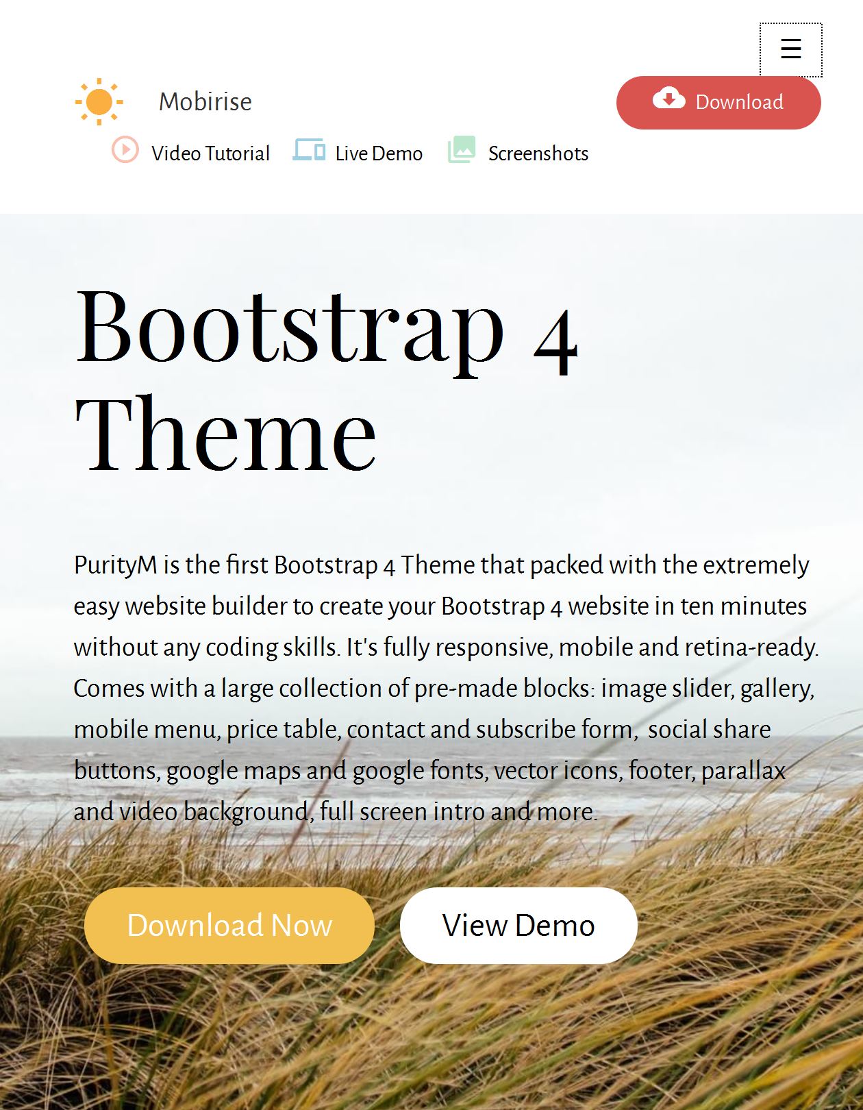 Bootstrap Free Template Download