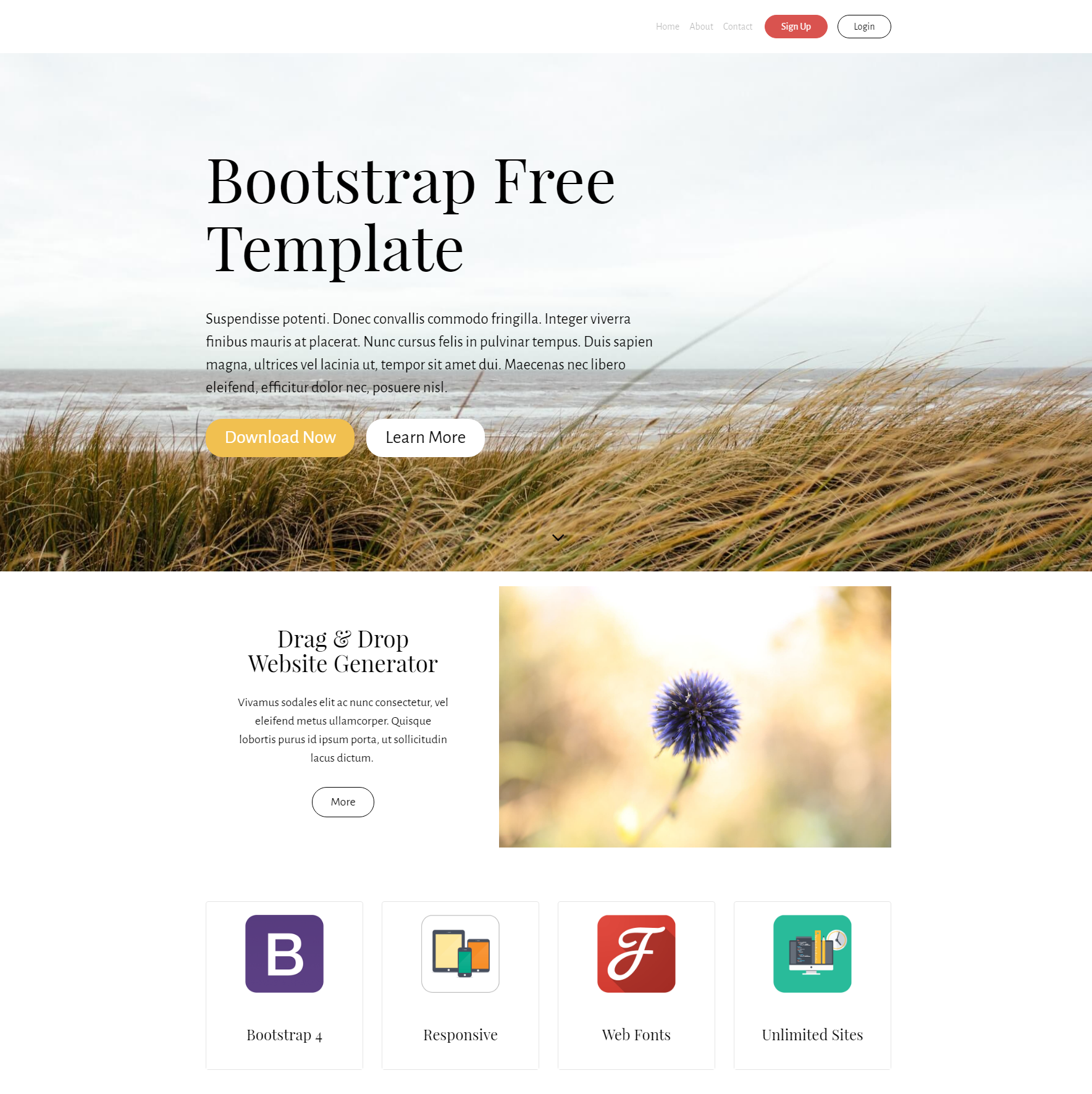 HTML5 Bootstrap Free Templates